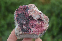 Natural Salrose Cobaltion Dolomite Specimens x 12 From Kakanda, Congo