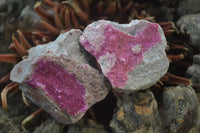 Natural Salrose Cobaltion Dolomite Specimens x 12 From Kakanda, Congo