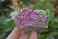 Natural Salrose Cobaltion Dolomite Specimens x 12 From Kakanda, Congo