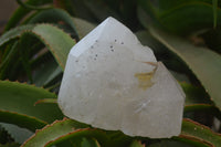 Polished Rare Large Pentium Quartz Crystal with Hematite Inclusions x 1 From Angola