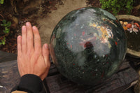 Polished Huge Bloodstone Sphere 1 x From Swaziland