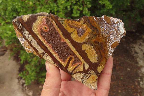 Polished On One Side Nguni Jasper Specimens x 3 From Prieska, South Africa