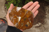 Polished On One Side Nguni Jasper Specimens x 3 From Prieska, South Africa