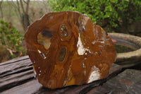 Polished On One Side Nguni Jasper Specimens x 3 From Prieska, South Africa