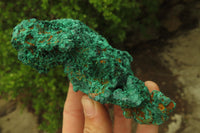 Natural Silky Malachite Specimens x 3 From Kasompe, Congo