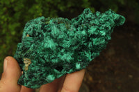 Natural Silky Malachite Specimens x 3 From Kasompe, Congo