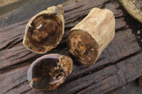 Polished on One Side Petrified Wood Branch Pieces x 3 From Gokwe, Zimbabwe