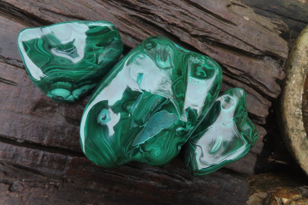 Polished Flower Banded Malachite Free Forms x 3 From Congo