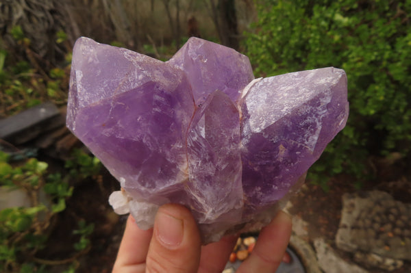 Natural Jacaranda Amethyst Clusters x 4 From Zambia