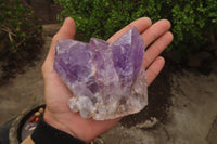 Natural Jacaranda Amethyst Clusters x 4 From Zambia