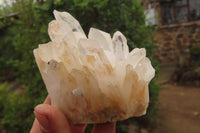 Natural Clear Quartz Clusters x 5 From Madagascar