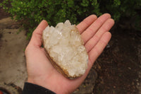 Natural Clear Quartz Clusters x 5 From Madagascar