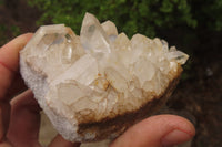 Natural Clear Quartz Clusters x 5 From Madagascar