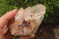 Natural Clear Quartz Clusters x 5 From Madagascar