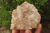 Natural Clear Quartz Clusters x 5 From Madagascar