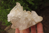 Natural Clear Quartz Clusters x 5 From Madagascar