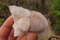 Natural Hematoid Ametrine Spirit Quartz Clusters x 12 From Boekenhouthoek, South Africa