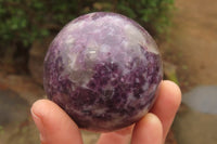 Polished Lepidolite Spheres x 4 From Ambatondrazaka, Madagascar