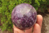 Polished Lepidolite Spheres x 4 From Ambatondrazaka, Madagascar