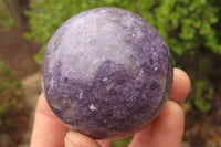 Polished Lepidolite Spheres x 4 From Ambatondrazaka, Madagascar