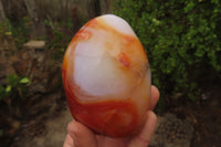 Polished Carnelian Agate Standing Free Forms x 3 From Madagascar