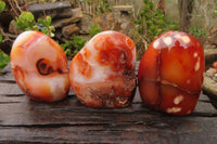 Polished Carnelian Agate Standing Free Forms x 3 From Madagascar