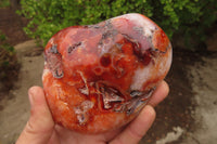 Polished Carnelian Agate Standing Free Forms x 3 From Madagascar