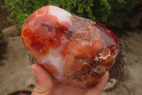 Polished Carnelian Agate Standing Free Forms x 3 From Madagascar