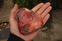 Polished Carnelian Agate Standing Free Forms x 3 From Madagascar