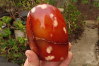 Polished Carnelian Agate Standing Free Forms x 3 From Madagascar