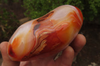 Polished Carnelian Agate Standing Free Forms x 3 From Madagascar