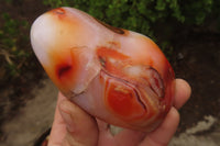 Polished Carnelian Agate Standing Free Forms x 3 From Madagascar