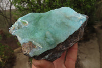 Natural Crystalline Drusy Chrysocolla Specimens x 2 From Kulukuluku, Congo