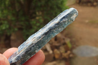 Natural Kyanite Specimens x 1.6 Kg Lot From Karoi, Zimbabwe