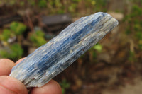 Natural Kyanite Specimens x 1.6 Kg Lot From Karoi, Zimbabwe