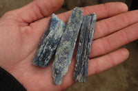 Natural Kyanite Specimens x 1.6 Kg Lot From Karoi, Zimbabwe