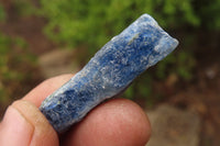 Natural Kyanite Specimens x 1.6 Kg Lot From Karoi, Zimbabwe