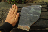 Polished Watermelon Fluorite Slices x 1 From Uis, Namibia