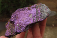 Natural Metallic Purpurite Cobbed Specimens x 12 From Erongo, Namibia