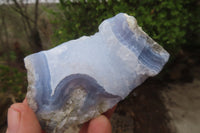 Natural Blue Lace Agate Specimens x 12 From Nsanje, Malawi