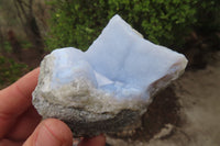 Natural Blue Lace Agate Specimens x 12 From Nsanje, Malawi