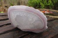 Polished on One Side Red Sashe River Agate Nodules x 6 From Zimbabwe