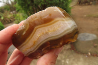 Polished on One Side Red Sashe River Agate Nodules x 6 From Zimbabwe