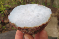 Polished on One Side Red Sashe River Agate Nodules x 6 From Zimbabwe