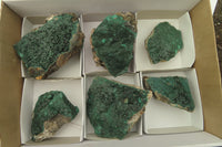 Natural Crystalline Malachite Specimens x 6 From Kasompe, Congo