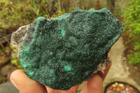 Natural Crystalline Malachite Specimens x 6 From Kasompe, Congo