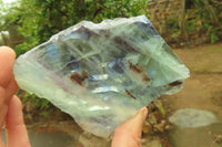 Natural Watermelon Fluorite Slices x 7 From Uis, Namibia