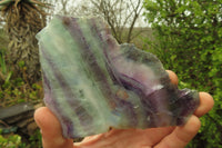 Natural Watermelon Fluorite Slices x 7 From Uis, Namibia