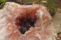 Natural Unusual Red Zululand Agate and Amethyst Geodes x 5 From South Africa