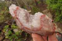 Natural Unusual Red Zululand Agate and Amethyst Geodes x 5 From South Africa